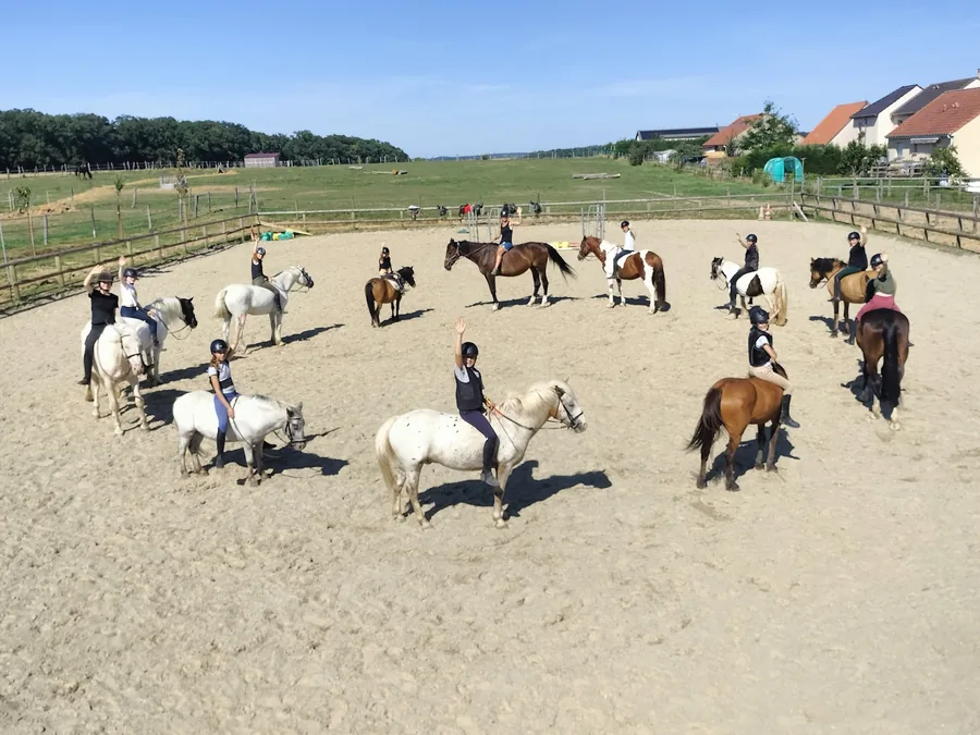 Cours d'équitation