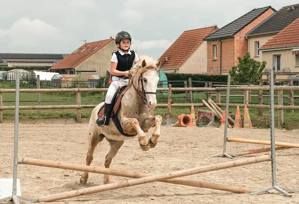 Cours d'équitation
