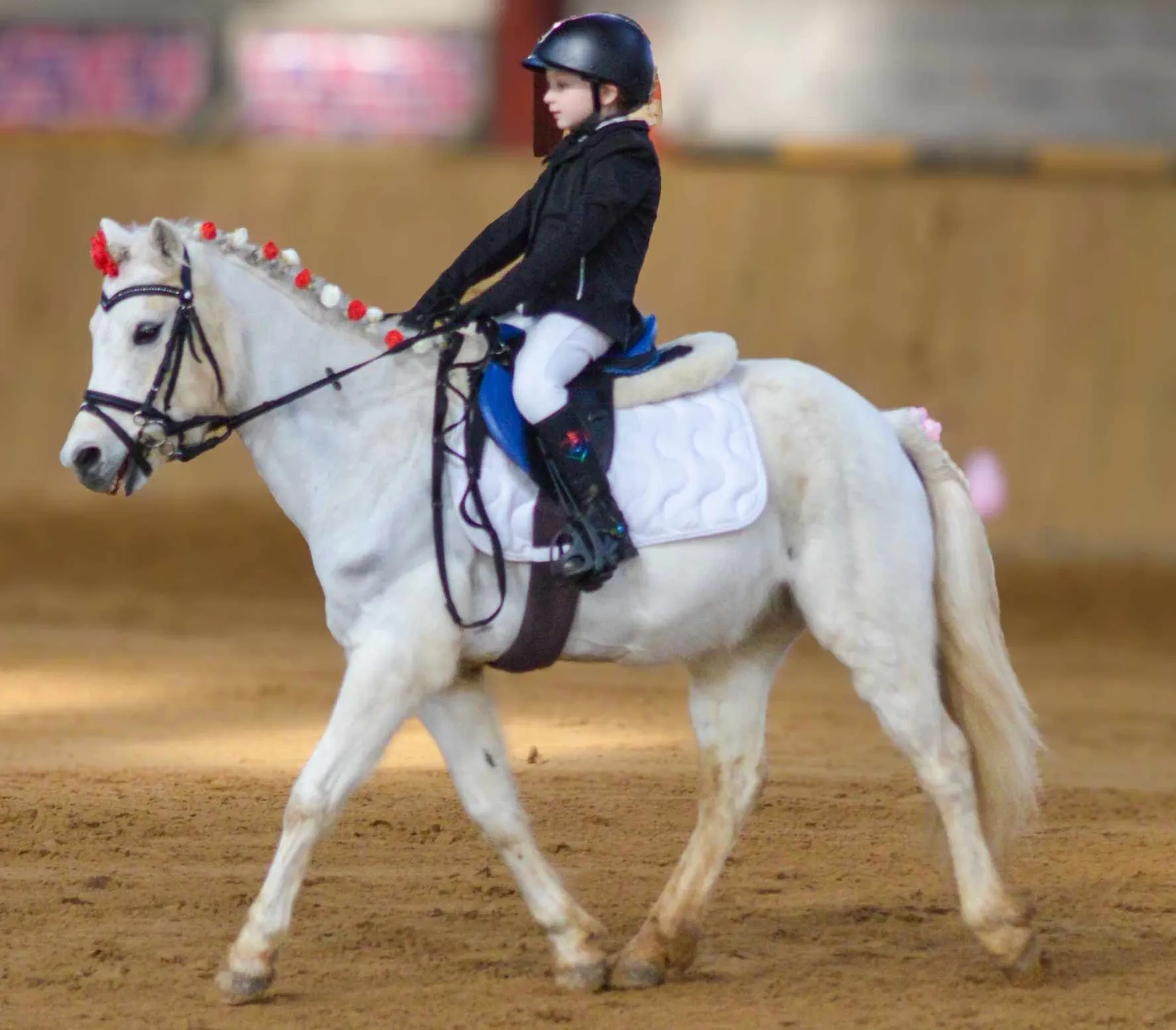 Cours d'équitation