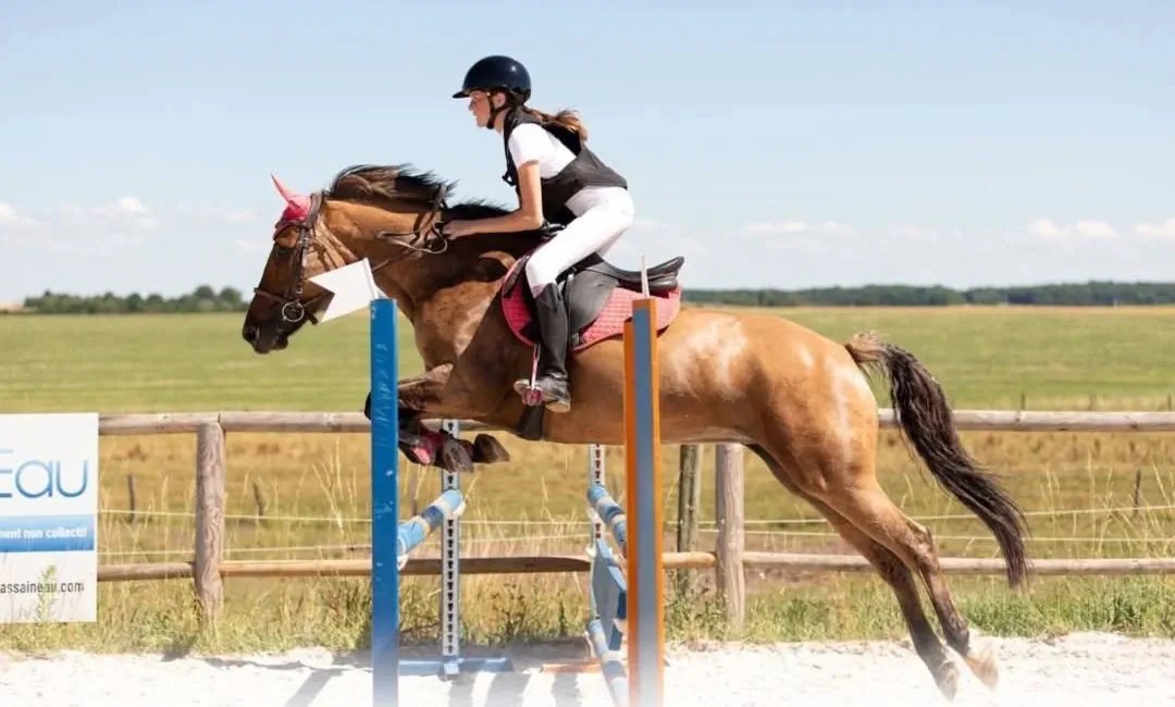 Cours d'équitation