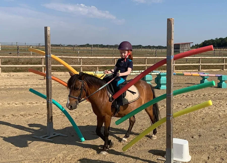 Cours d'équitation