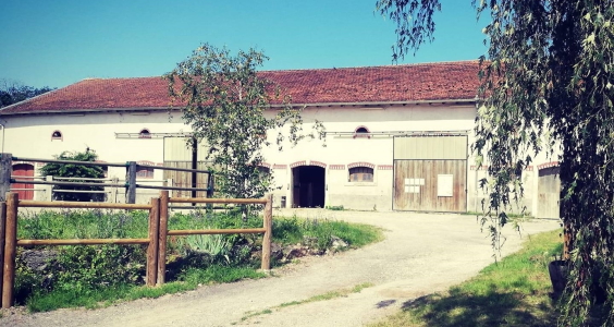pension, écurie
